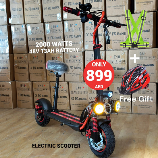 Electric Scooter E10-Pro 2024