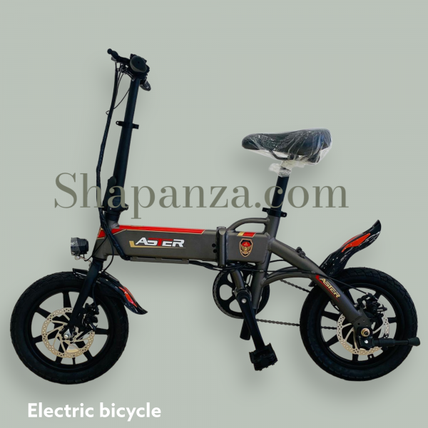 Electric Rechargeable Bicycle