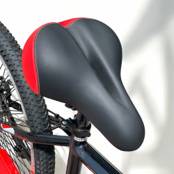 Shapanza Single Speed Bicycle  Shapanza Single Speed Bicycle